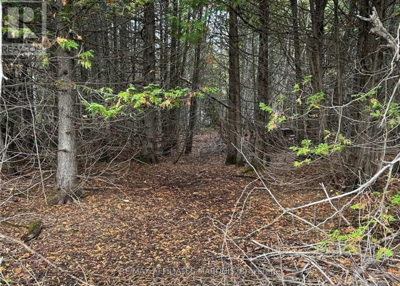 0 Rocksprings Road, Elizabethtown-Kitley, Ontario  K0G 1R0 - Photo 3 - X13542234