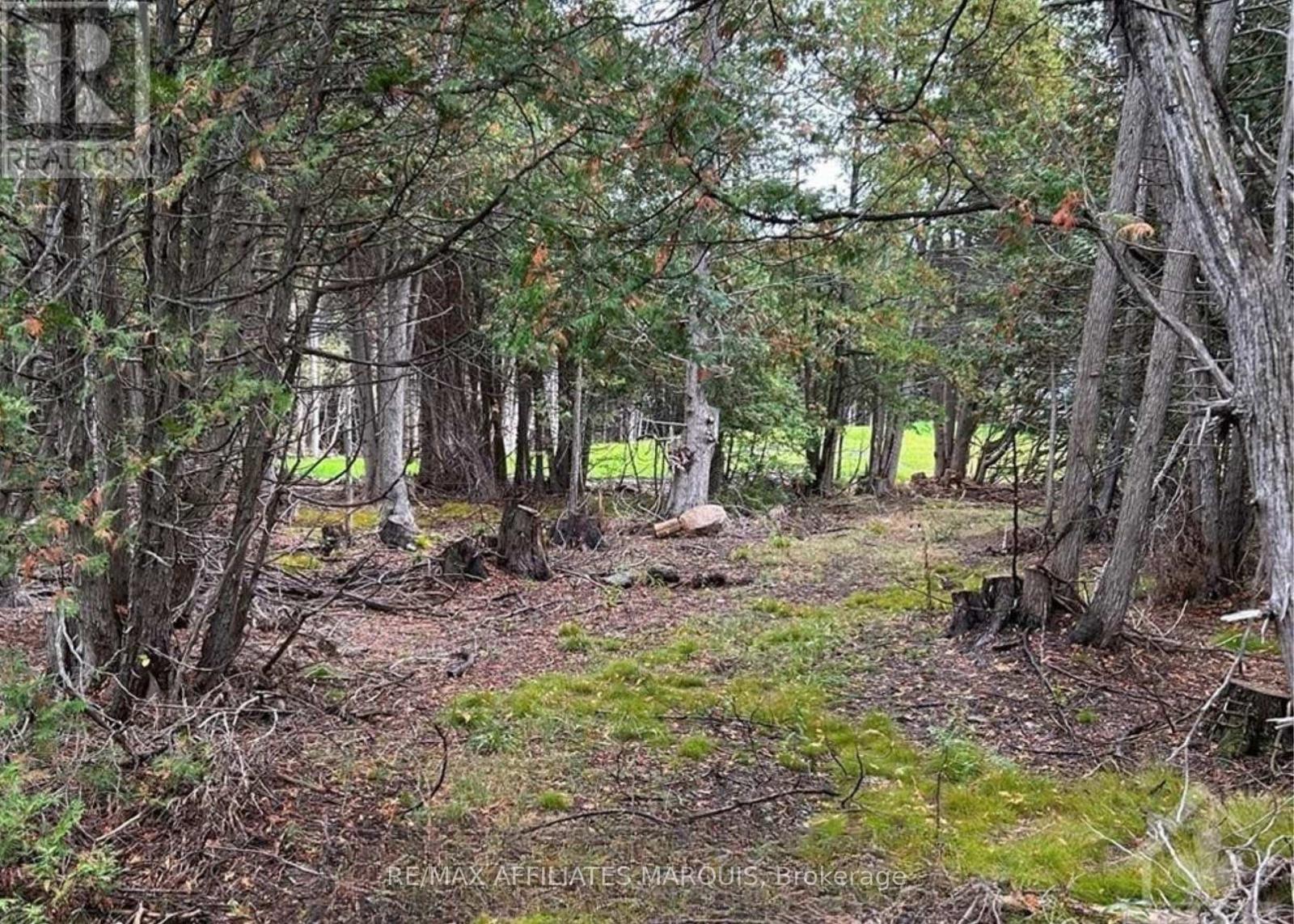 0 Rocksprings Road, Elizabethtown-Kitley, Ontario  K0G 1R0 - Photo 4 - X13542234