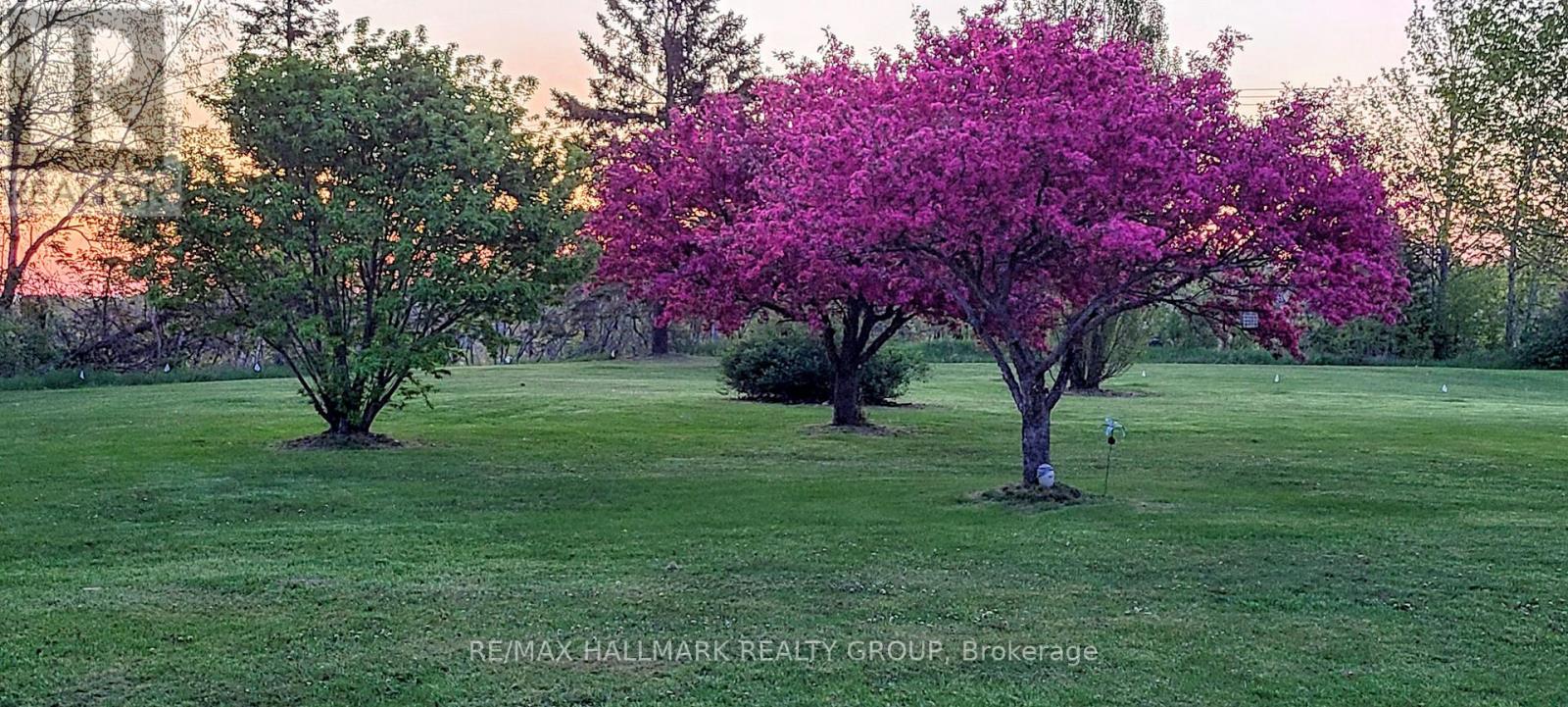 1475 Beachburg Road, Whitewater Region, Ontario  K0J 1C0 - Photo 39 - X13542654