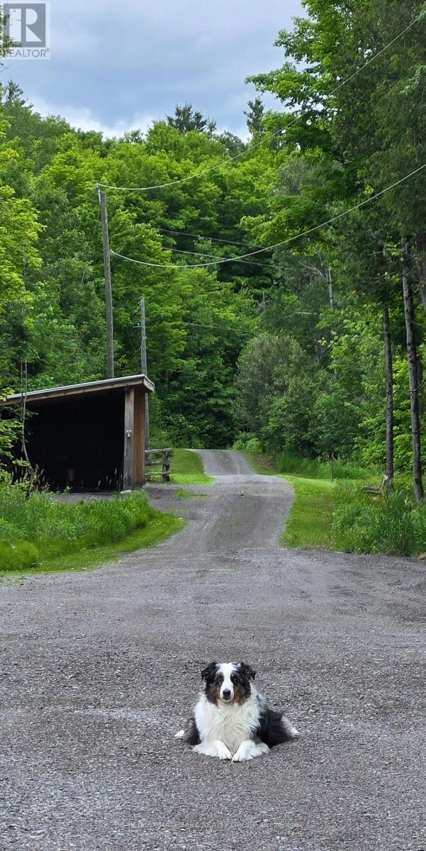466 Stewartville Road W, Mcnab/braeside, Ontario  K0A 3L0 - Photo 46 - X13547216