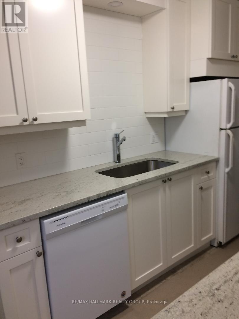 568 Gladstone Avenue, Ottawa, Ontario  K1R 5P3 - Photo 4 - X13552100