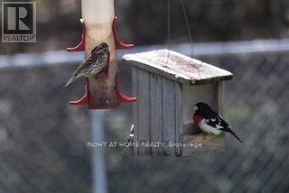 902 Rue Elizabeth Street, Alfred And Plantagenet, Ontario  K0B 1C0 - Photo 40 - X13552236