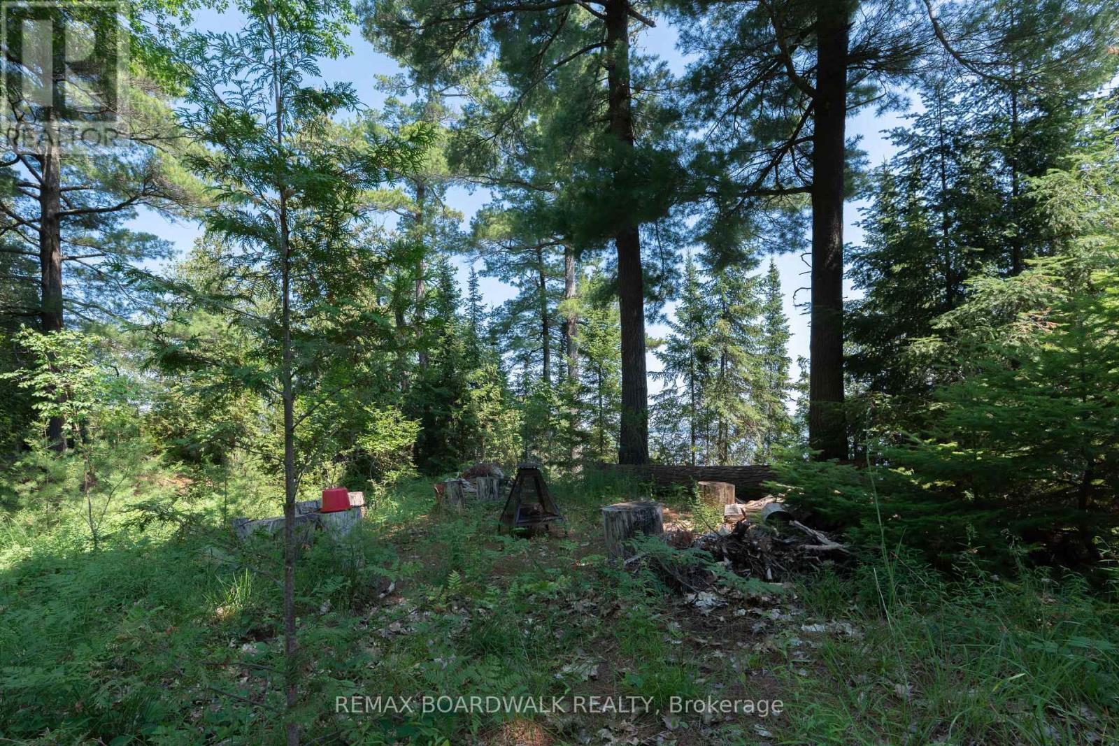 6603 Big Rideau Island, Rideau Lakes, Ontario  K0G 1V0 - Photo 38 - X13552462