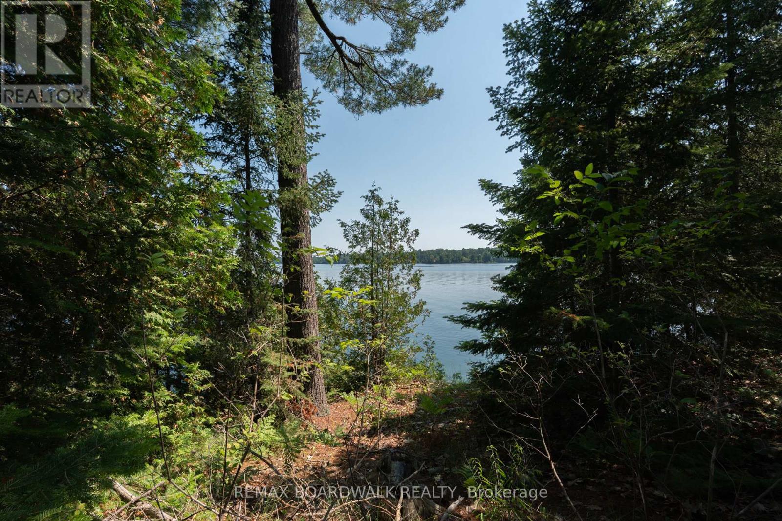 6603 Big Rideau Island, Rideau Lakes, Ontario  K0G 1V0 - Photo 40 - X13552462