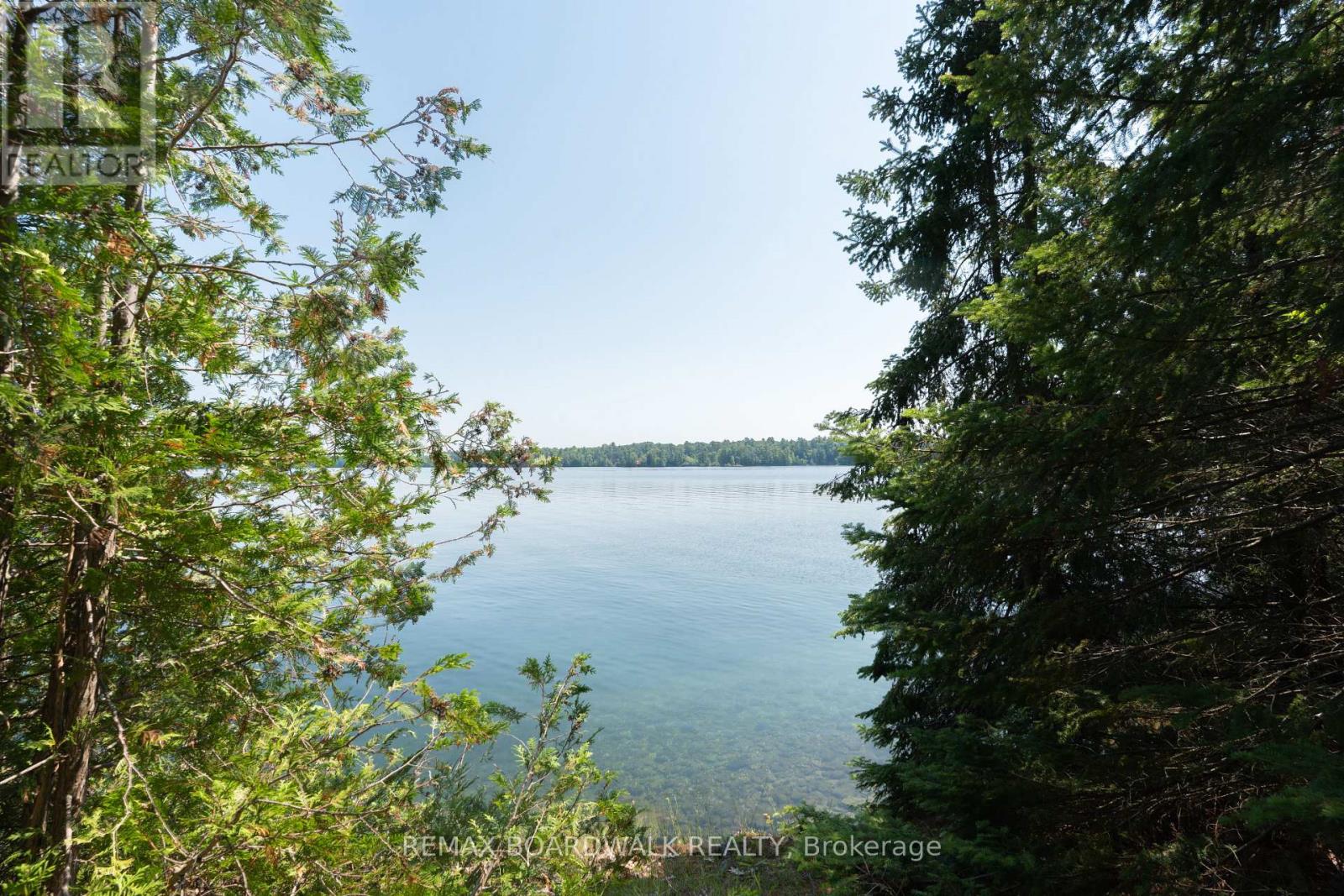 6603 Big Rideau Island, Rideau Lakes, Ontario  K0G 1V0 - Photo 41 - X13552462