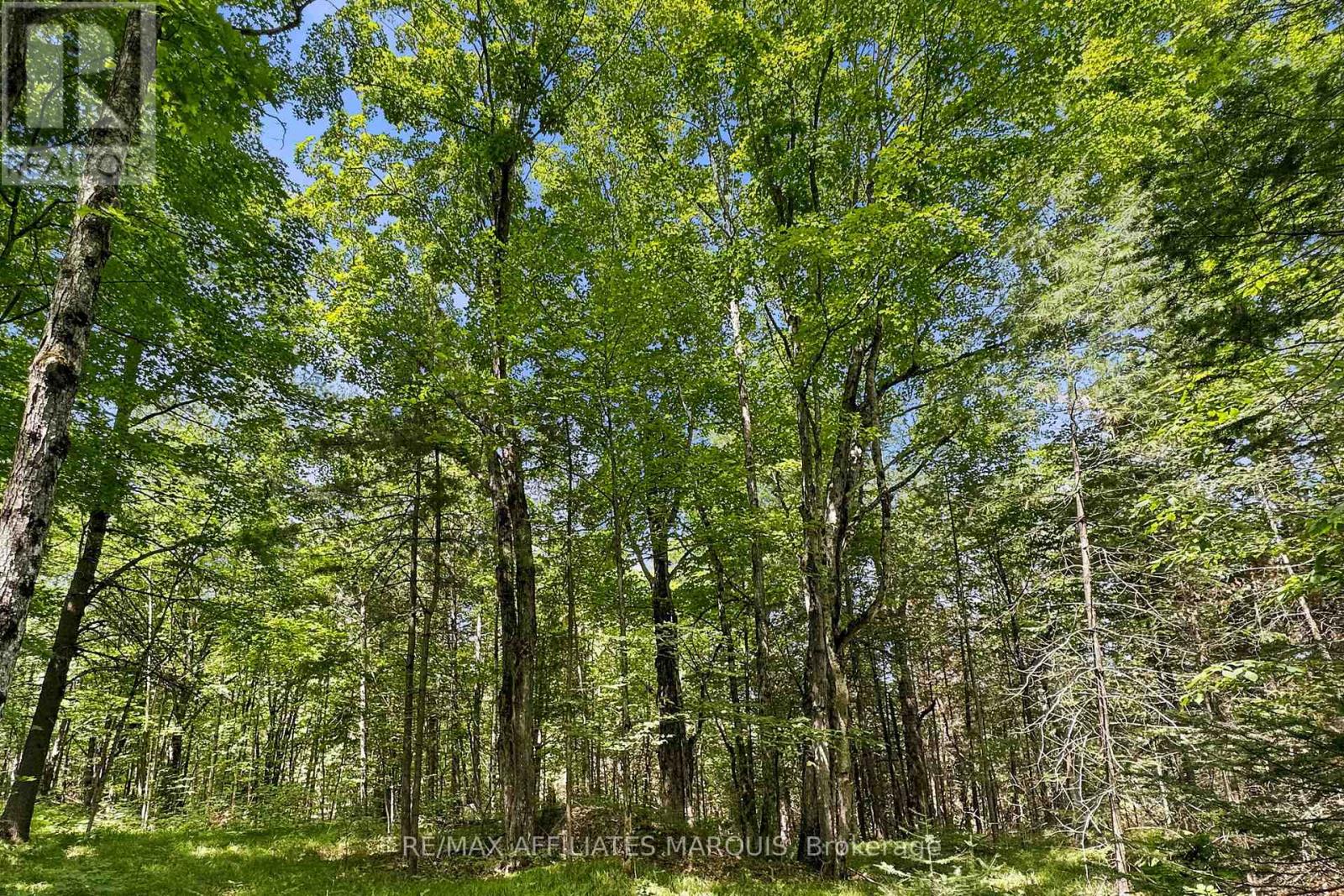 00 Zealand Road, Tay Valley, Ontario  K0H 2B0 - Photo 10 - X13553394