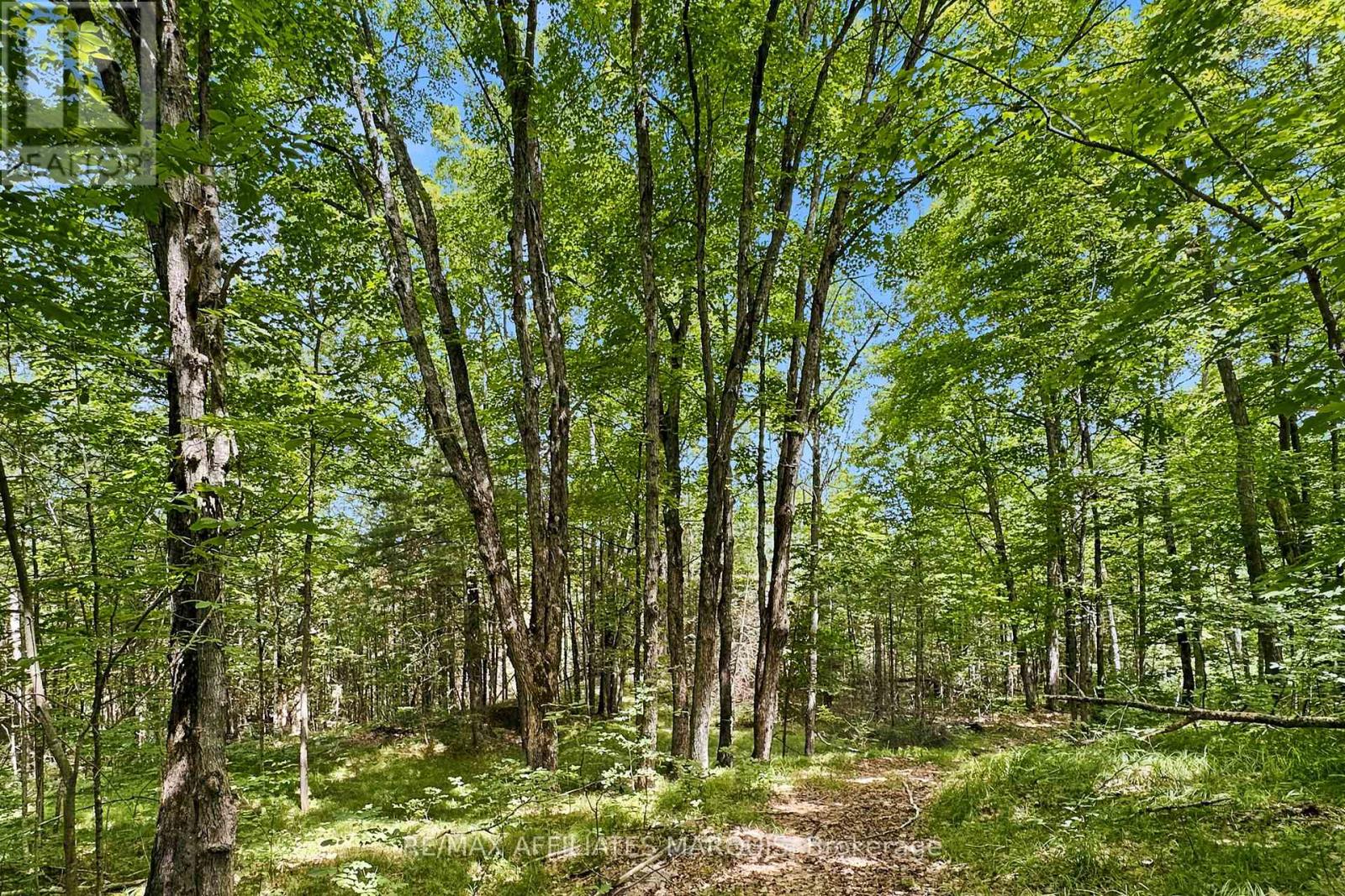 00 Zealand Road, Tay Valley, Ontario  K0H 2B0 - Photo 11 - X13553394