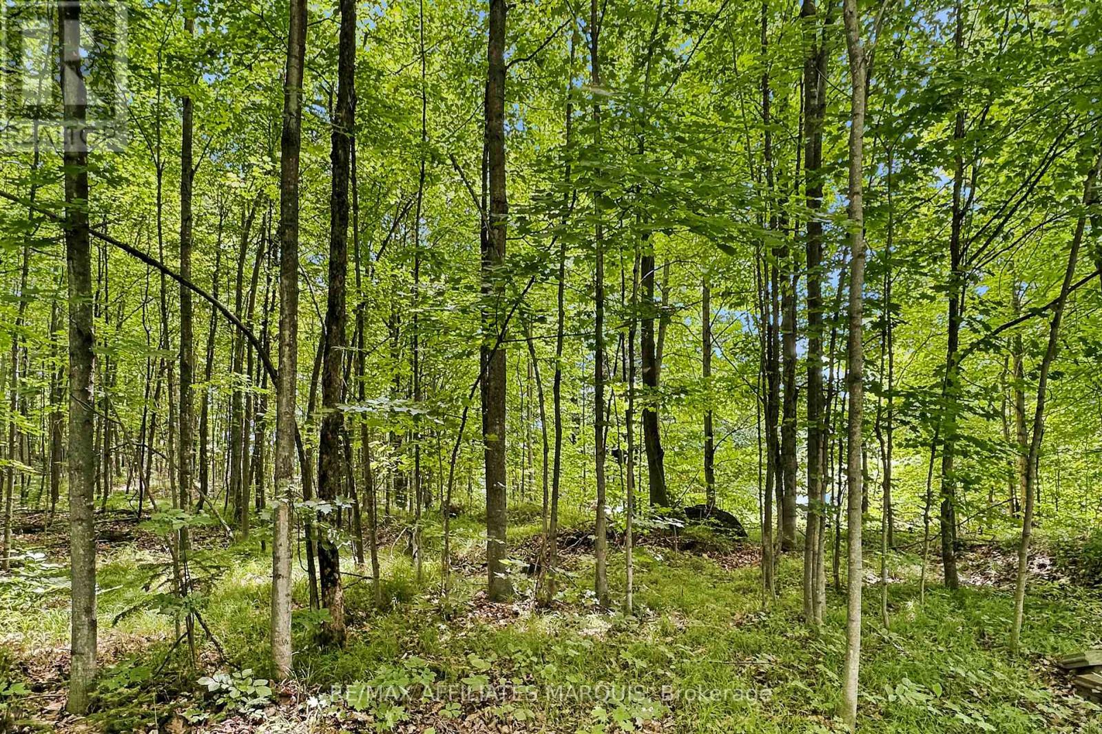 00 Zealand Road, Tay Valley, Ontario  K0H 2B0 - Photo 12 - X13553394