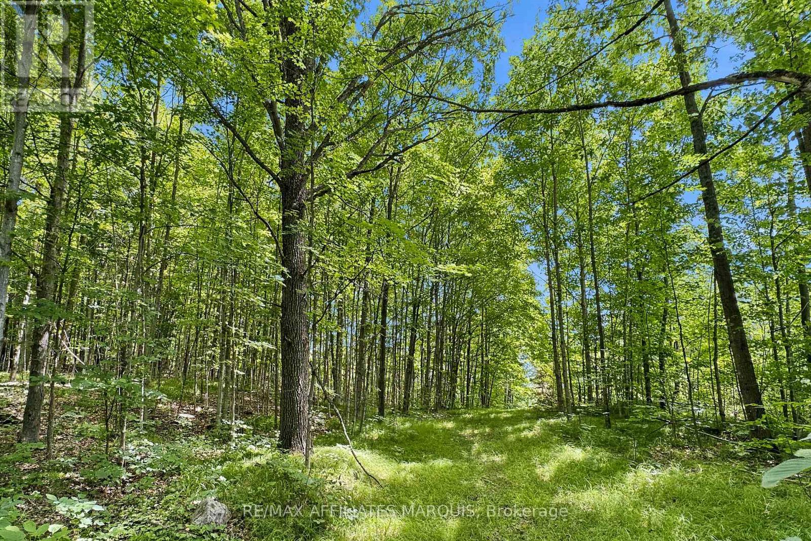 00 Zealand Road, Tay Valley, Ontario  K0H 2B0 - Photo 5 - X13553394