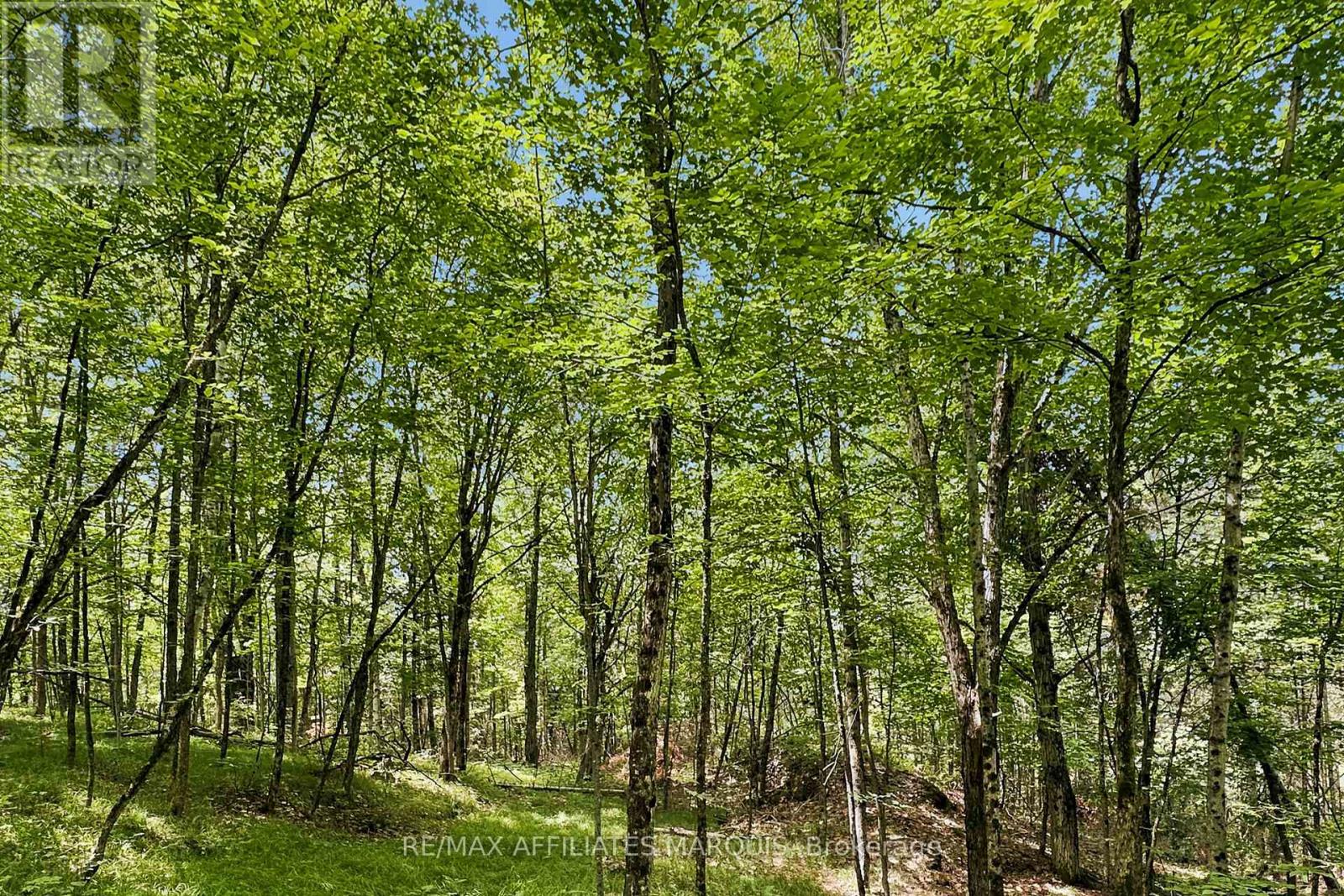 00 Zealand Road, Tay Valley, Ontario  K0H 2B0 - Photo 6 - X13553394