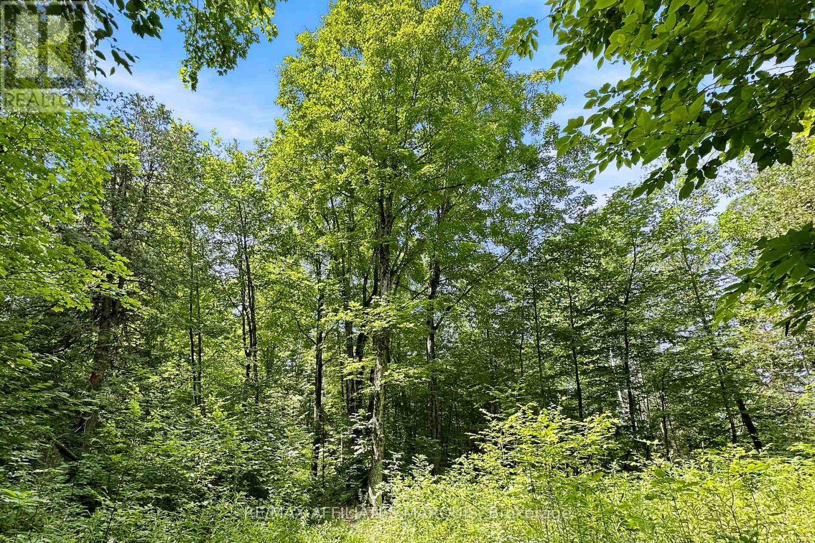 00 Zealand Road, Tay Valley, Ontario  K0H 2B0 - Photo 7 - X13553394