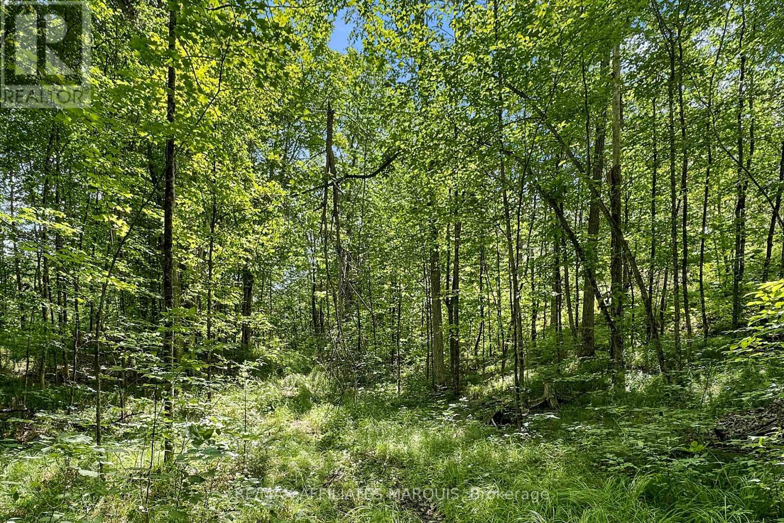 00 Zealand Road, Tay Valley, Ontario  K0H 2B0 - Photo 8 - X13553394