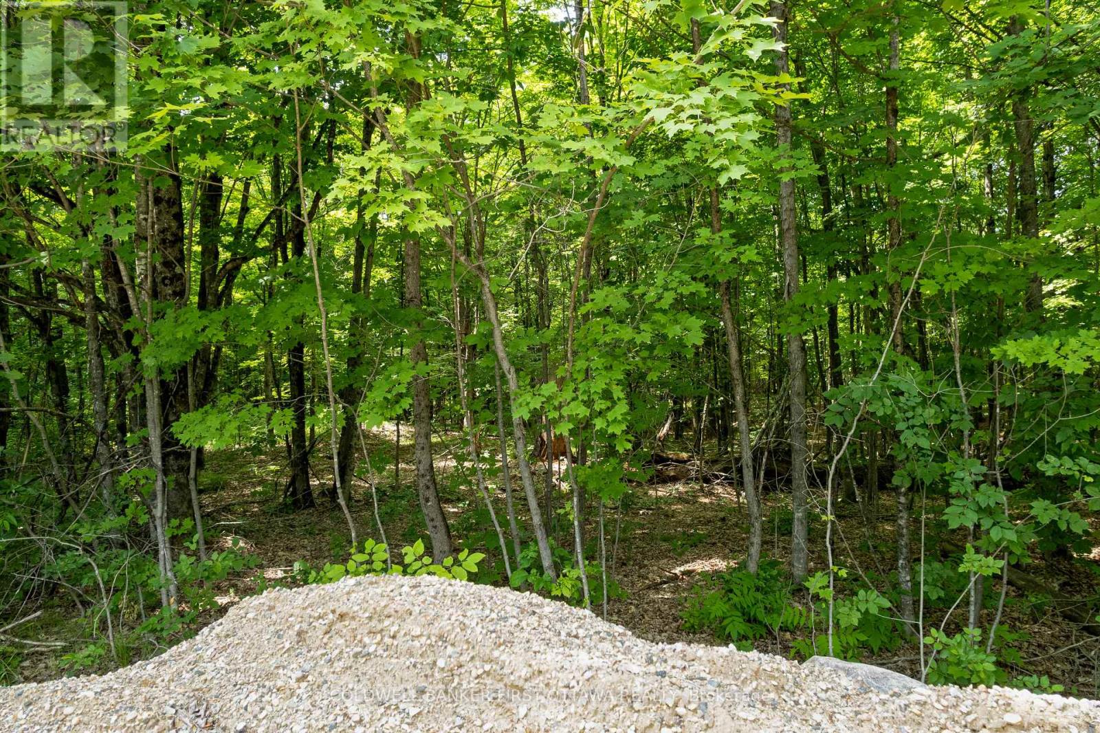 338 Ennis Road, Tay Valley, Ontario  K0G 1A0 - Photo 16 - X13553750