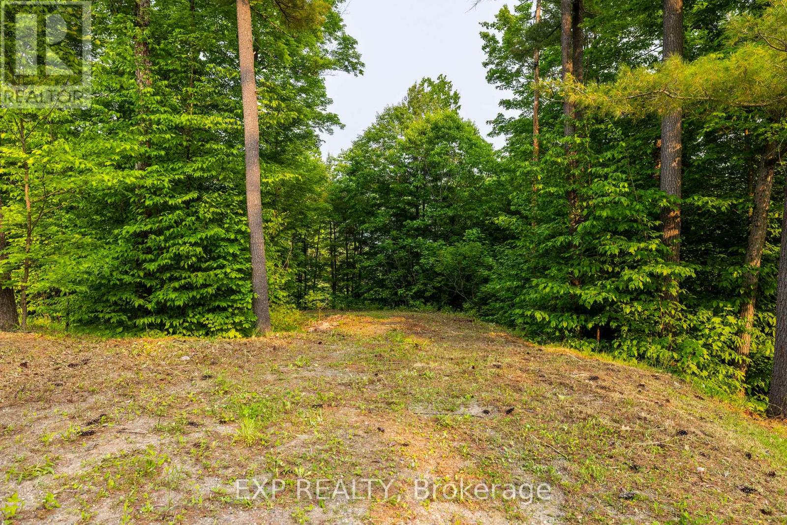 1225 Barrett Chute Road, Greater Madawaska, Ontario  K0J 1H0 - Photo 5 - X13556018