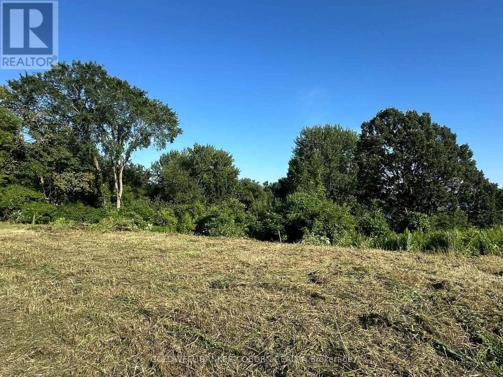 00 County Road 2 Road, Edwardsburgh/cardinal, Ontario  K0E 1E0 - Photo 3 - X13559194