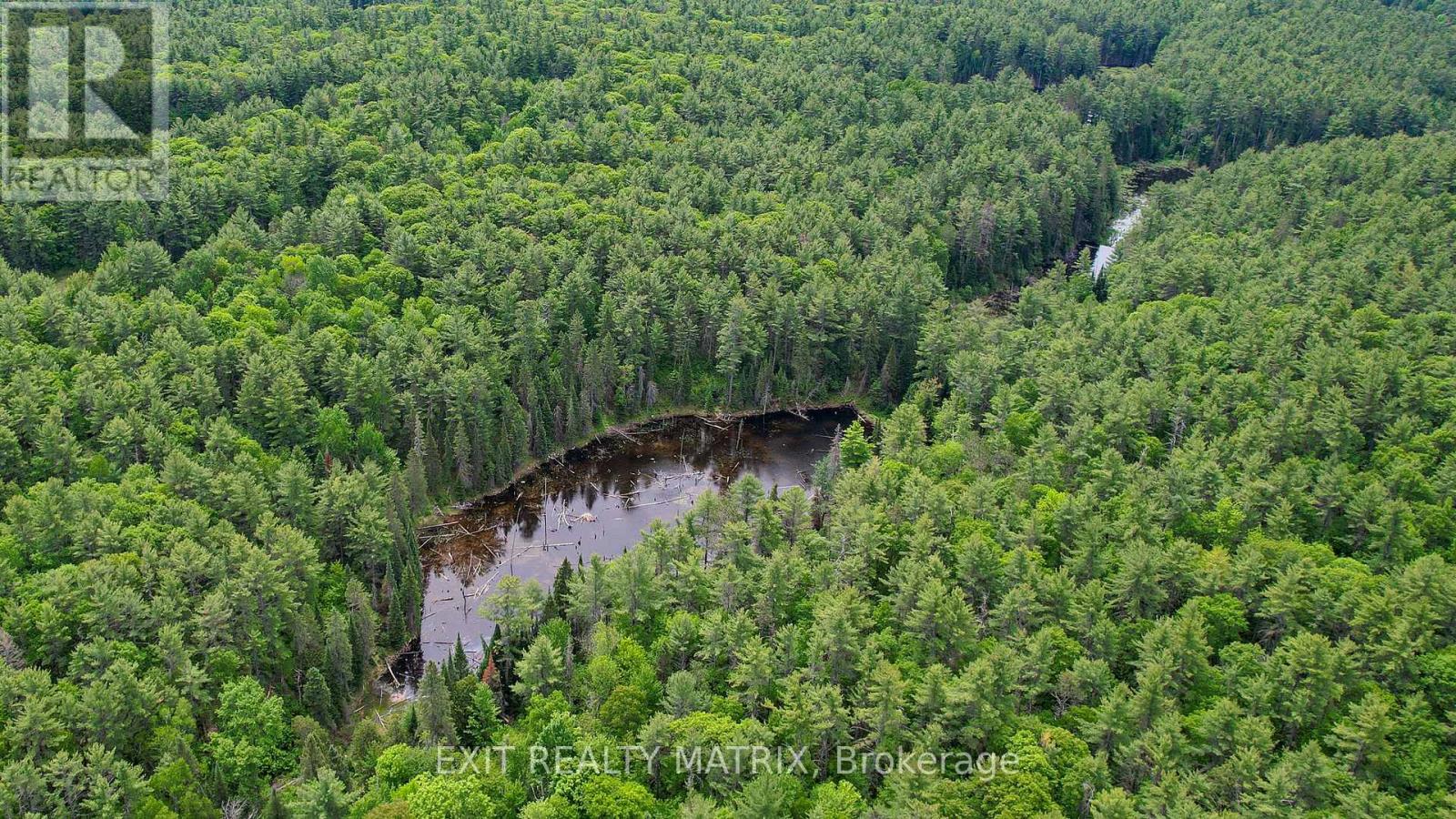 Pt Lt 9 Concession 1 Concession, Mcnab/braeside, Ontario  K0A 3L0 - Photo 14 - X13561494
