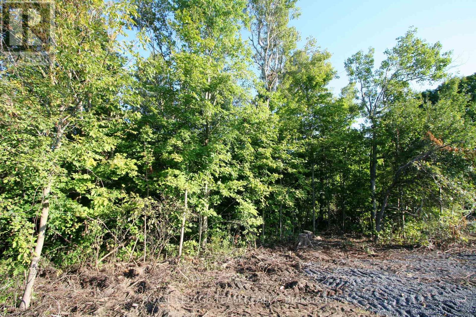 Ptlt31 Pleasant Valley Road, South Dundas, Ontario  K0E 1W0 - Photo 6 - X13561536