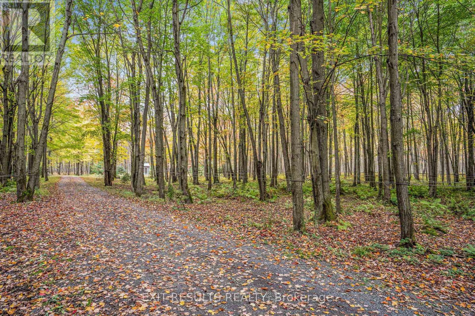 638 St Thomas Road E, Russell, Ontario  K0A 1W0 - Photo 23 - X13568160
