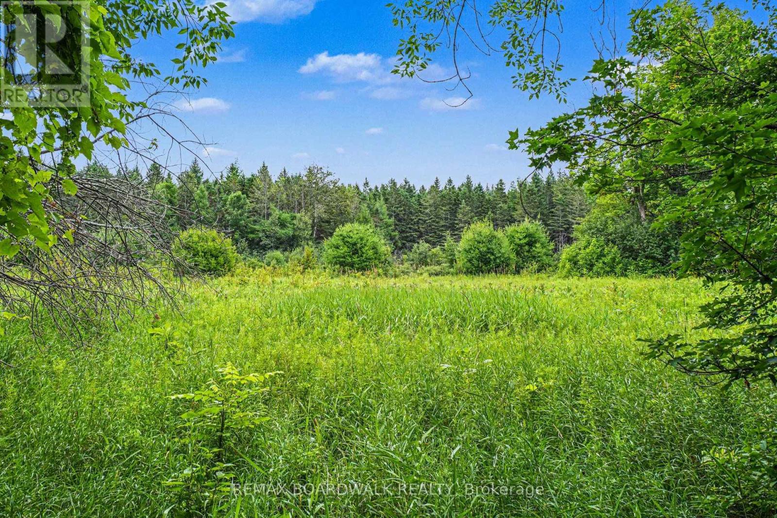 884 Old Perth Road, Mississippi Mills, Ontario  K0A 1A0 - Photo 6 - X13571314
