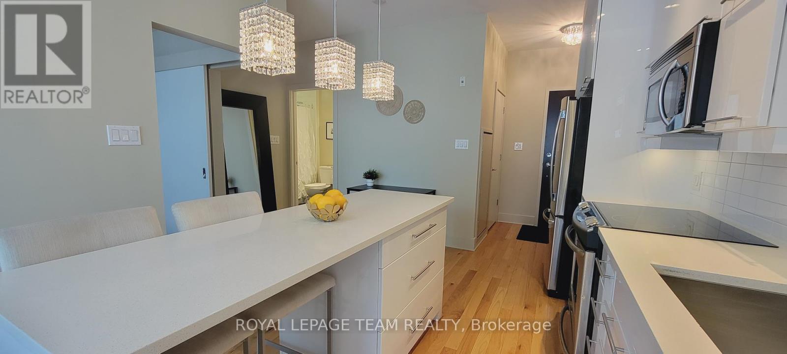 317 - 101 Richmond Road, Ottawa, Ontario  K1Z 0A6 - Photo 4 - X13574670