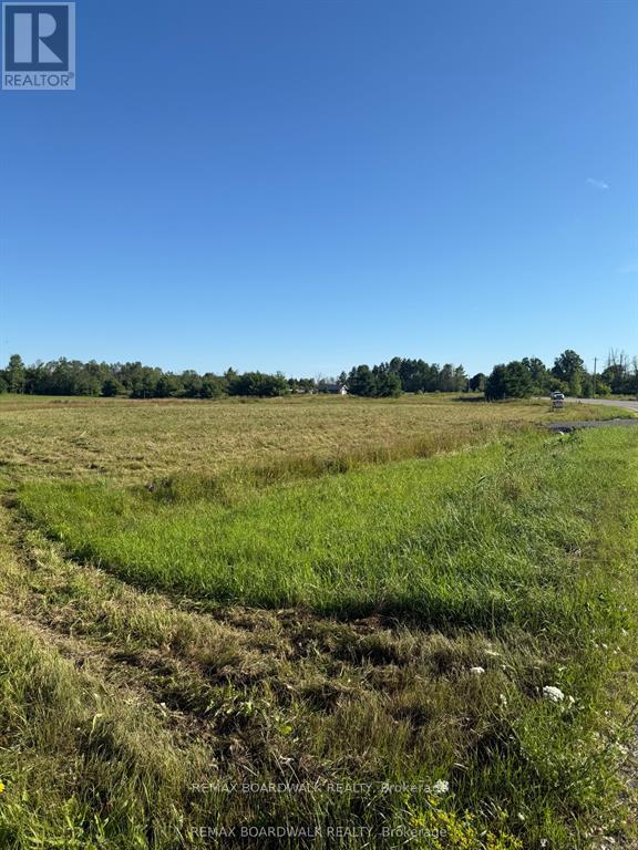 9284 Branch Road, Augusta, Ontario  K0G 1R0 - Photo 8 - X13575284
