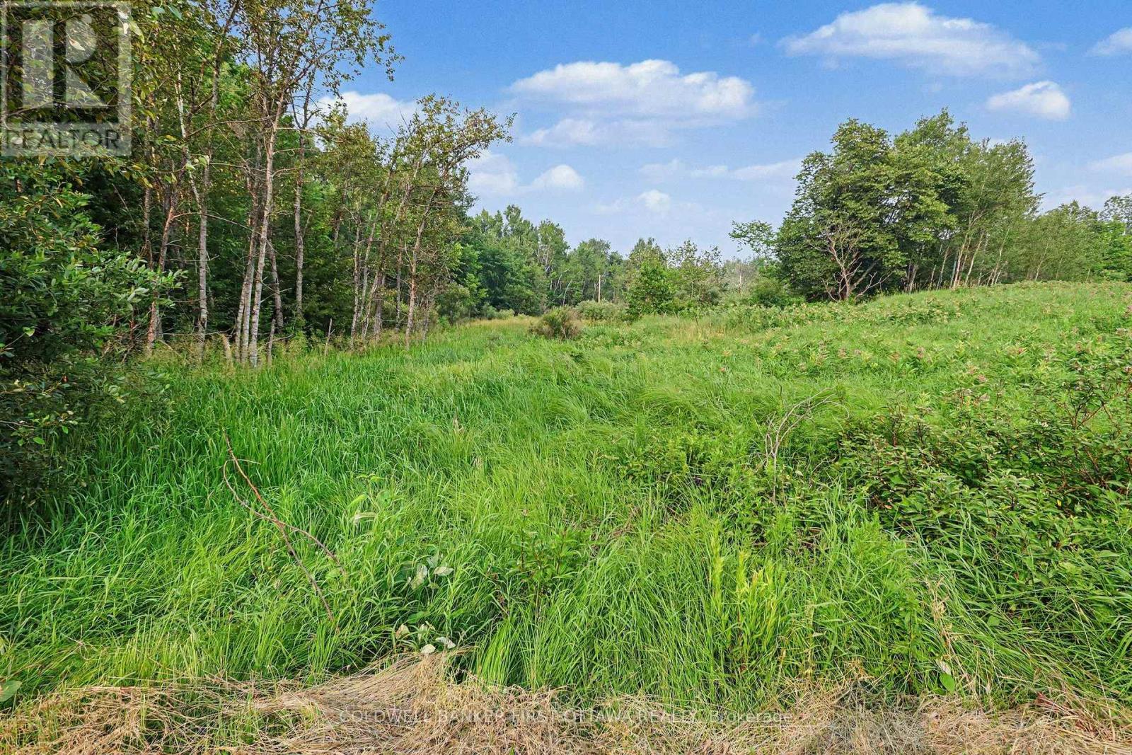 0 Armstrong Line, Tay Valley, Ontario  K0H 2B0 - Photo 11 - X13575420