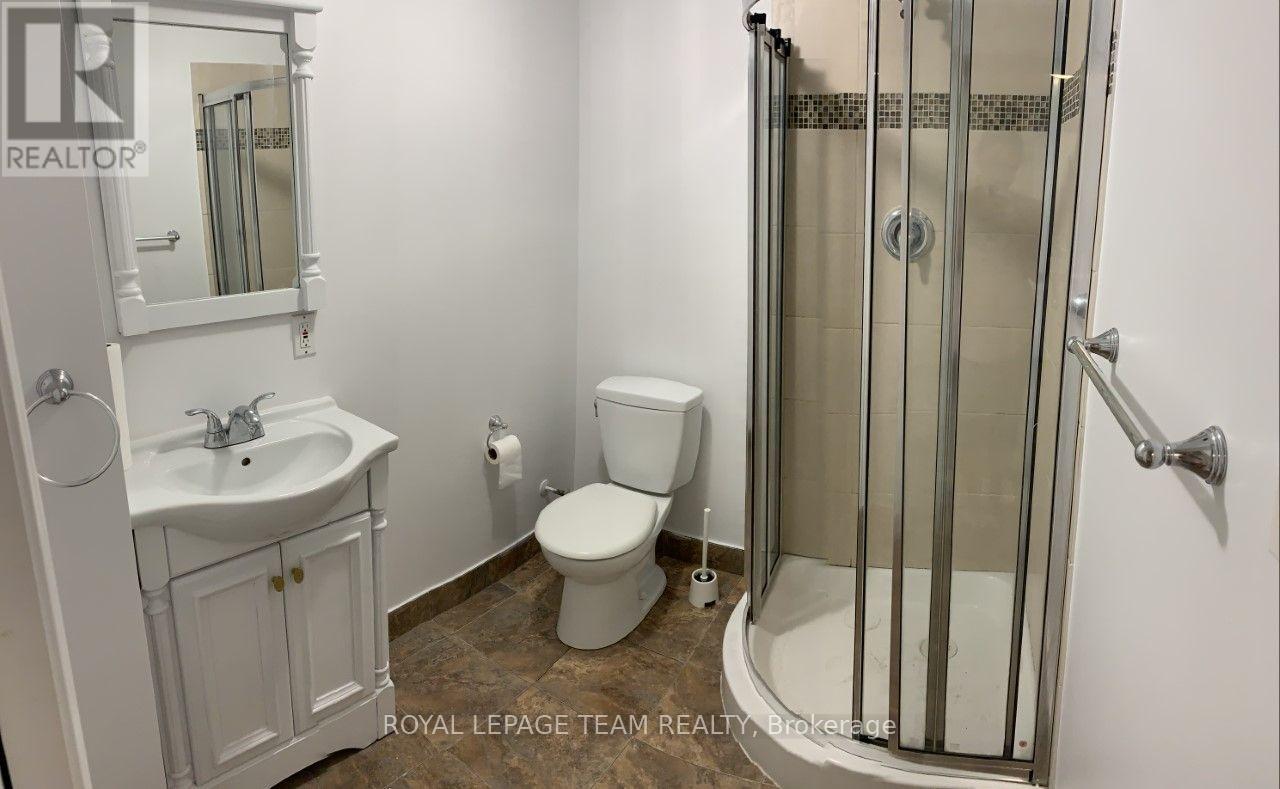 Basement - 3 Tower Hill Crescent, Ottawa, Ontario  K2M 1R4 - Photo 5 - X13577932