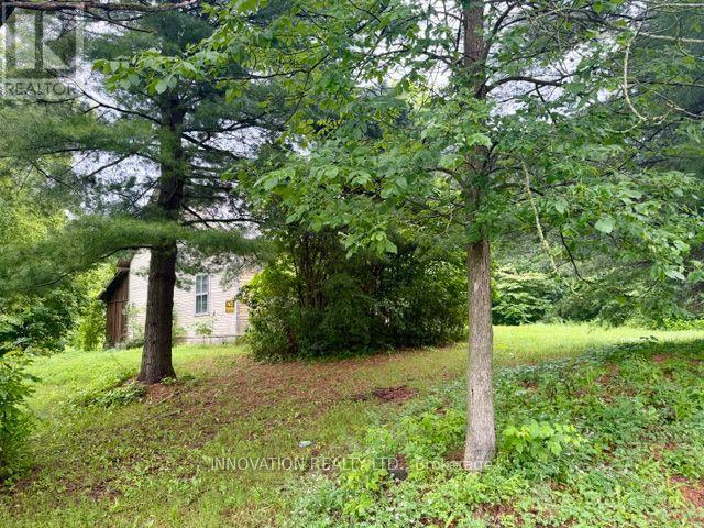 3109 County Road 15 Road, The Nation, Ontario  K0B 1G0 - Photo 2 - X13582834
