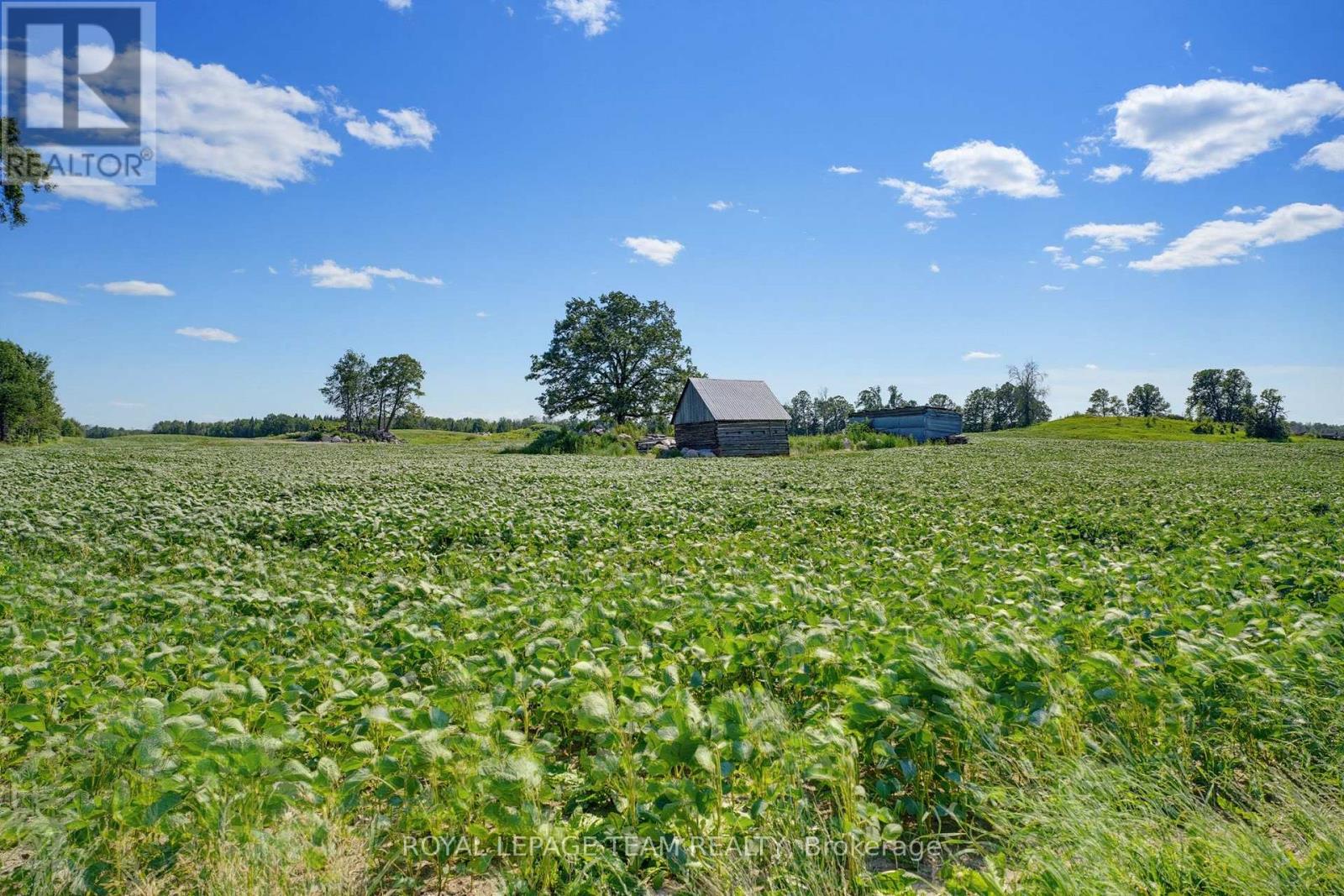 547 Malloy Road, Whitewater Region, Ontario  K0J 1C0 - Photo 37 - X13591290