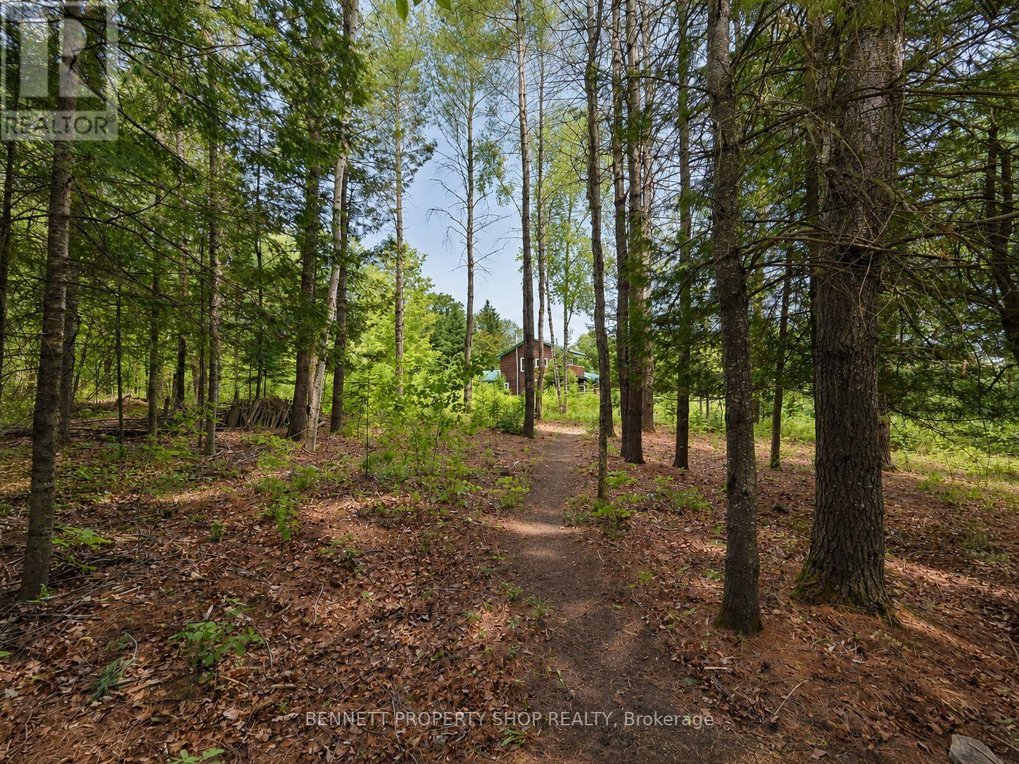 515 Graphite Bay Road, Greater Madawaska, Ontario  K0J 1H0 - Photo 3 - X13602528
